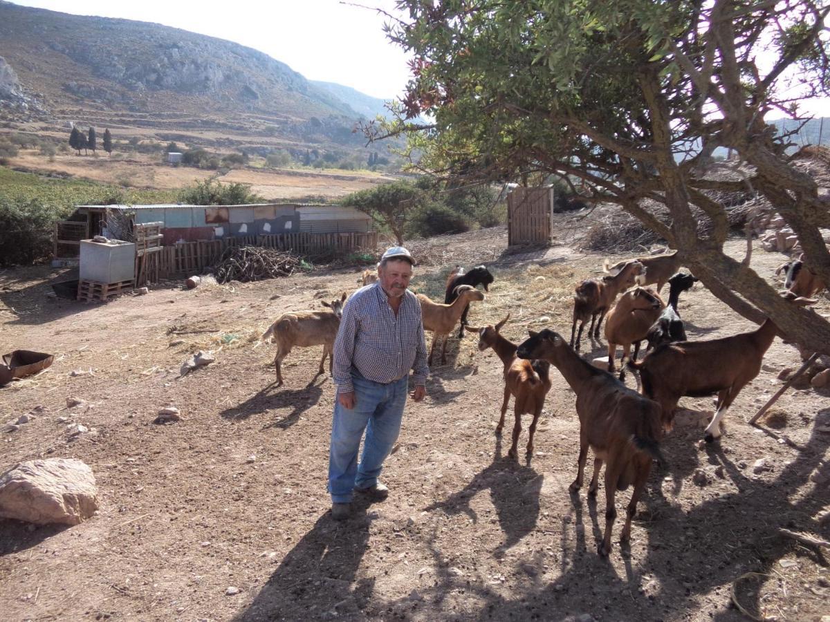 הוילה Sitanos Athena House מראה חיצוני תמונה
